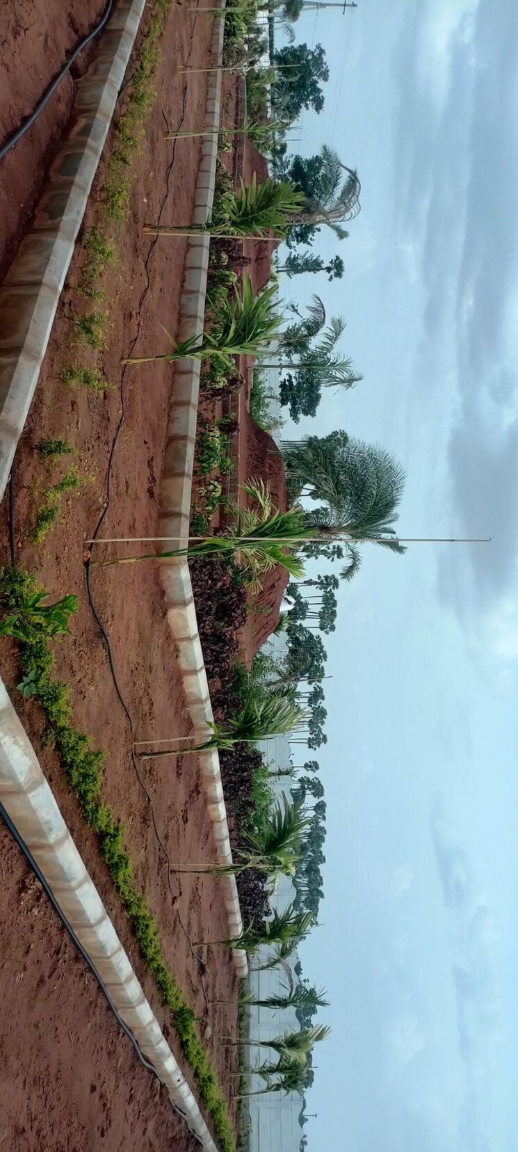 Garden, sri-bhumi-eeshaanya  184 Sq.Yd. Plot In Kankipadu Vijayawada 8039249