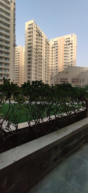 2 BHK Apartment – Exterior View View at Ambience Creacions, Sector 22 - for Rent