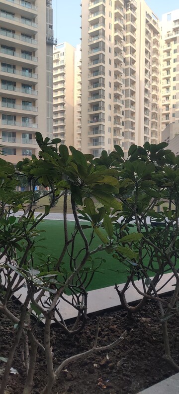 2 BHK Apartment – Exterior View View at Ambience Creacions, Sector 22 - for Rent