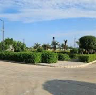 Plot For Resale in Emaar Marbella Phase 2 Sector 66 Gurgaon  8039679