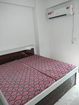 2 BHK Apartment For Rent in Sector 33 Sonipat  8039948