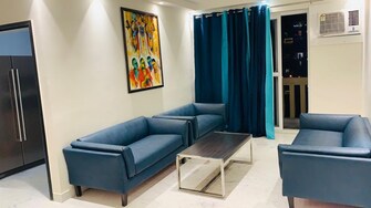 4 BHK Apartment For Rent in DLF Oakwood Estate Dlf Phase ii Gurgaon  8039950