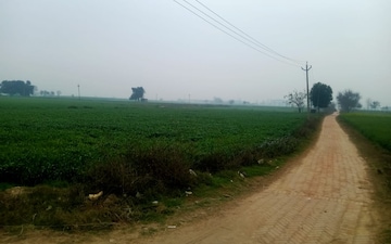 Land For Sale in Kabirpur