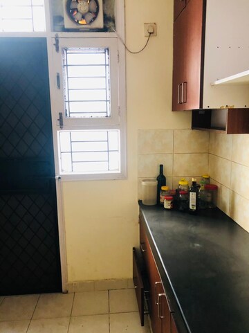 Kitchen in 3 BHK Builder Floor at Unitech South City II, Sector 50 – for Rent