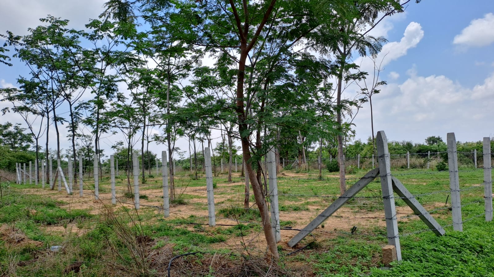 Plot For Sale in Good Property's 