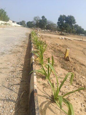 Plot Area in  Plot at Peeranchuruvu – for Sale