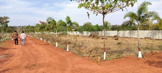 Plot For Resale in Vikarabad Hyderabad  8040288