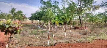 Plot Area in  Plot at Vikarabad – for Sale