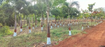 Plot Area in  Plot at Vikarabad – for Sale