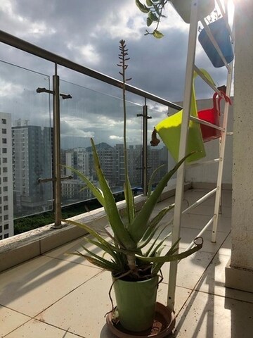 Balcony in 2 BHK Apartment at Sharada Alliance Paritosh, Balewadi – for Rent