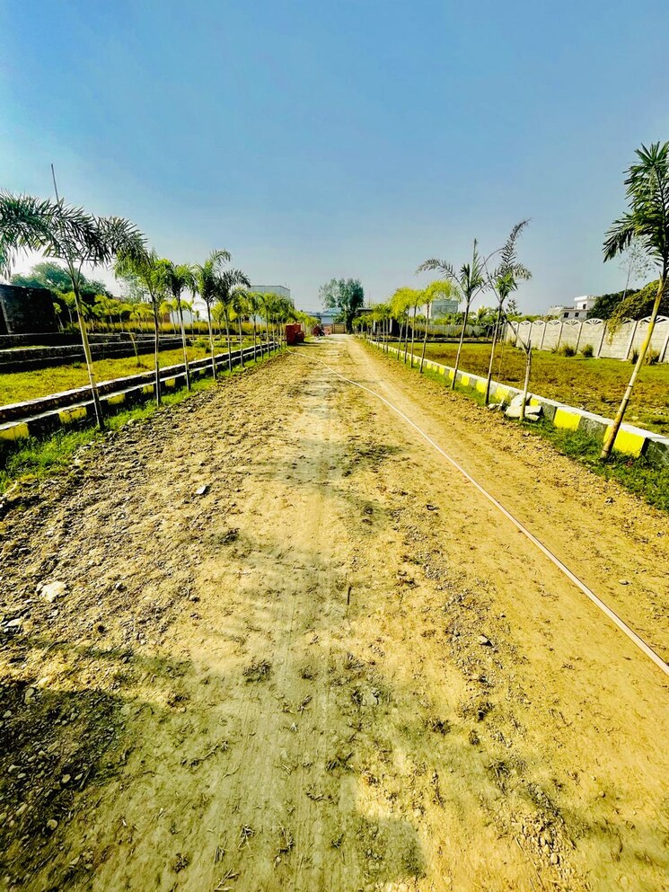 Garden, kalli paschim  700 Sq.Ft. Plot In Kalli Paschim Lucknow 8041115