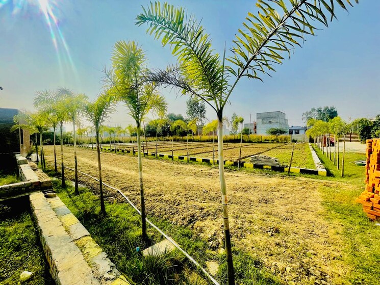 Garden, kalli paschim  700 Sq.Ft. Plot In Kalli Paschim Lucknow 8041115