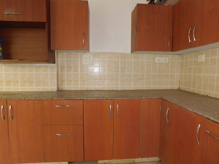 Kitchen, rwa-apartments-sector-50 3 Bedroom 2800 Sq.Ft. Apartment In Sector 50 Noida 8041288