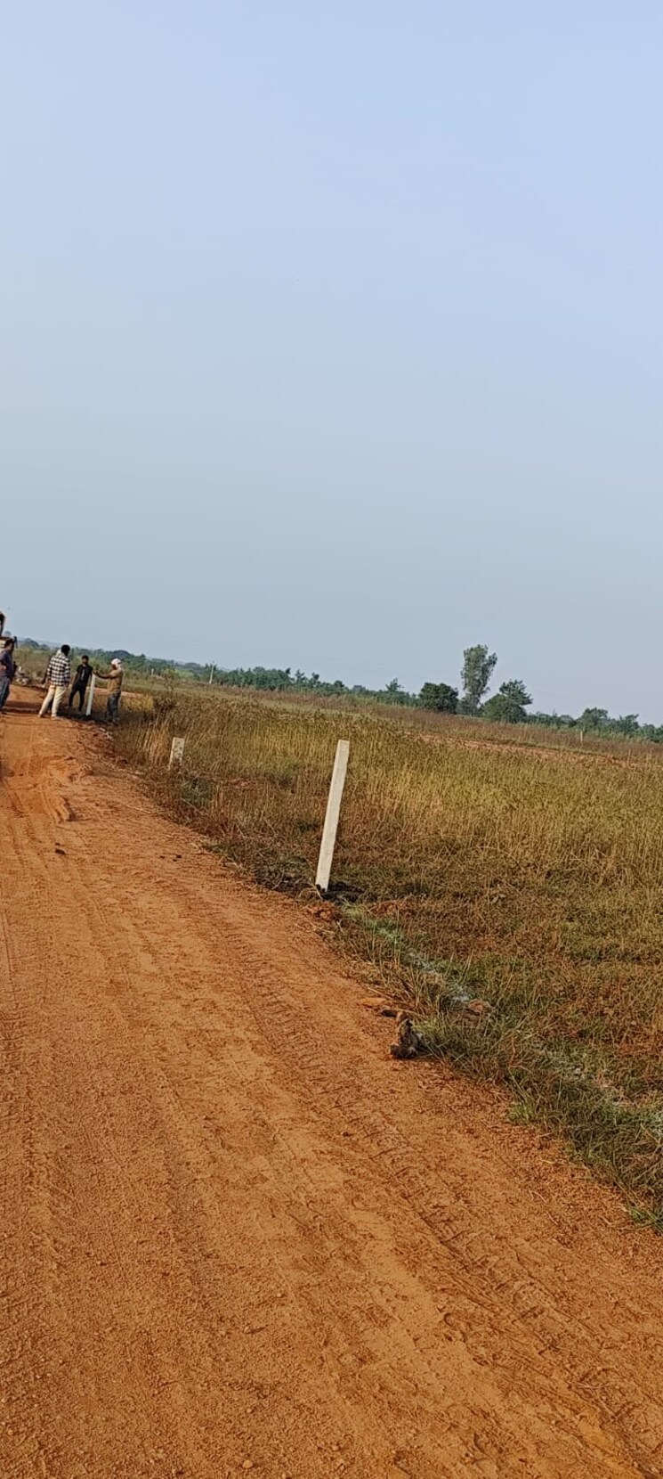 undefined, myron-royal-crest  355 Sq.Yd. Plot In Digwal Hyderabad 8041273