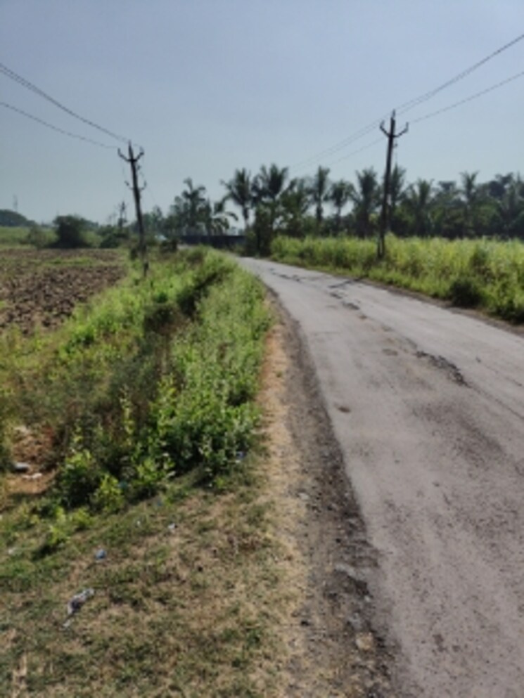 undefined, palsana Commercial Land 3 Acre In Palsana Surat 8041290