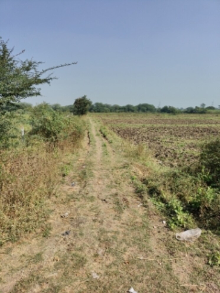 undefined, palsana Commercial Land 3 Acre In Palsana Surat 8041290
