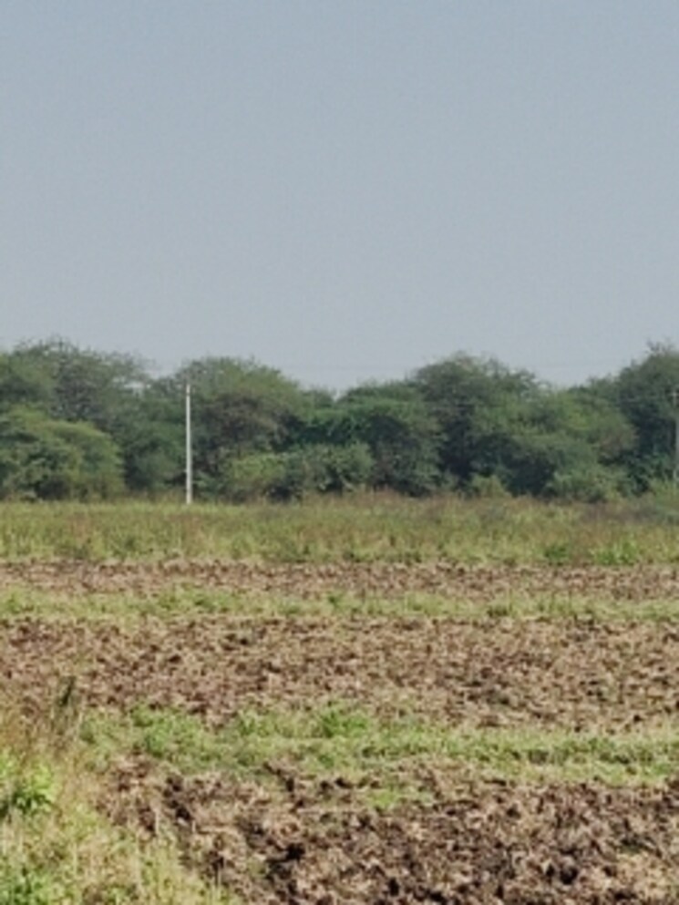 undefined, palsana Commercial Land 3 Acre In Palsana Surat 8041290