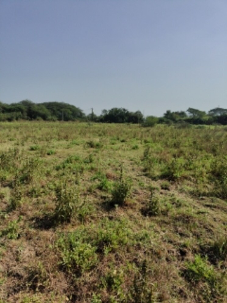 undefined, palsana Commercial Land 3 Acre In Palsana Surat 8041290