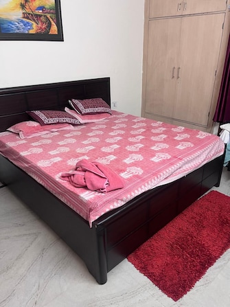 3.5 BHK Apartment For Rent in Medinova Apartment Sector 56 Gurgaon  8041307