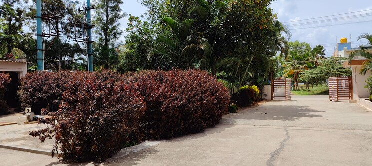 Garden, mayur-daffodil 2 Bedroom 1245 Sq.Ft. Apartment In Sarjapur Road Bangalore 8041410