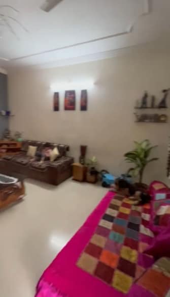 3.5 BHK Independent House For Resale in Gulmohar Colony Bhopal  8041519