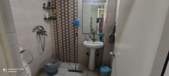 2 BHK Apartment For Rent in Gaur City 2 - 12th Avenue Noida Ext Sector 16c Greater Noida  8041611