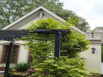 2 BHK Independent House – Exterior View View at Dholka - for Sale