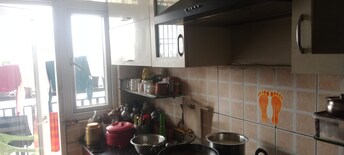 3 BHK Apartment For Rent in Gardenia Square I Dundahera Ghaziabad  8042314