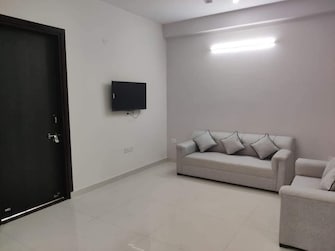 3 BHK Builder Floor For Rent in Unitech South City 1 South City 1 Gurgaon  8042417