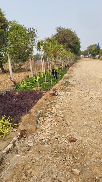 Plot Area in  Plot at Kalwara – for Sale