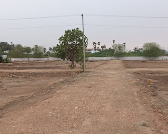 Plot For Resale in Malliampathu Tiruchirappalli  8042524