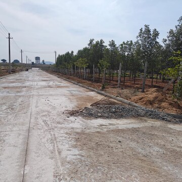 Plot Area in  Plot at Fortune 18, Amangal – for Sale