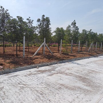Plot Area in  Plot at Fortune 18, Amangal – for Sale