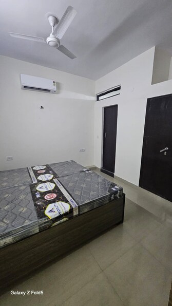 1 BHK Builder Floor For Rent in Global Arcade Sector 42 Gurgaon  8042881