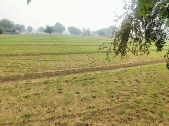 Plot For Resale in Fatehabad Agra  8042883