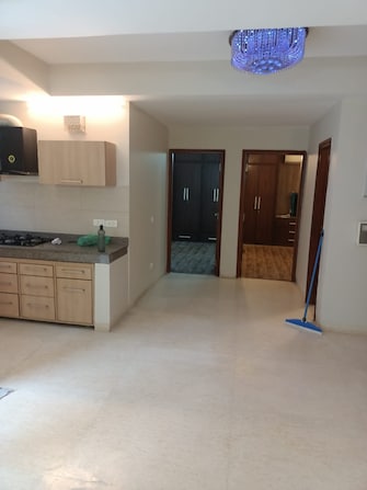 2 BHK Apartment For Rent in DLF Building 10 Dlf Phase ii Gurgaon  8043002