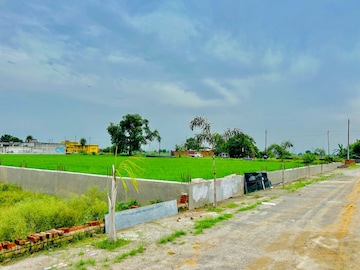 Plot For Resale in Lawar np Meerut  8043062