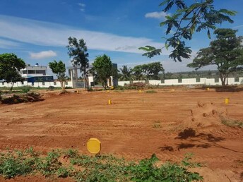 Plot For Resale in Alasanatham Hosur  8043121