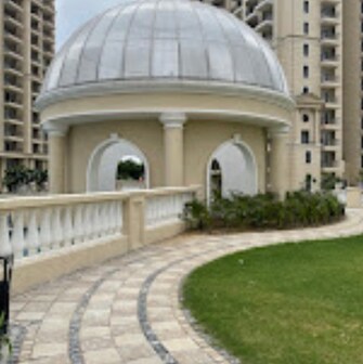 3 BHK Apartment For Rent in ATS Marigold Sector 89a Gurgaon  8043216