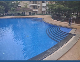 3 BHK Apartment For Rent in Purva Venezia Yelahanka New Town Bangalore  8043222