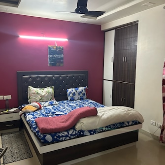 3 BHK Apartment For Rent in TDI City Kingsbury Sector 61 Sonipat  8043366