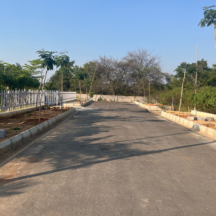 undefined, medchal  267 Sq.Yd. Plot In Medchal Hyderabad 8043365