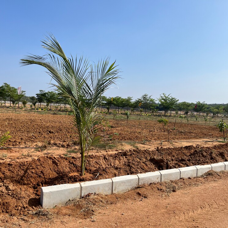 undefined, medchal  267 Sq.Yd. Plot In Medchal Hyderabad 8043365
