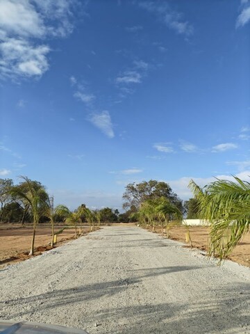 Plot Area in  Plot at Peeranchuruvu – for Sale