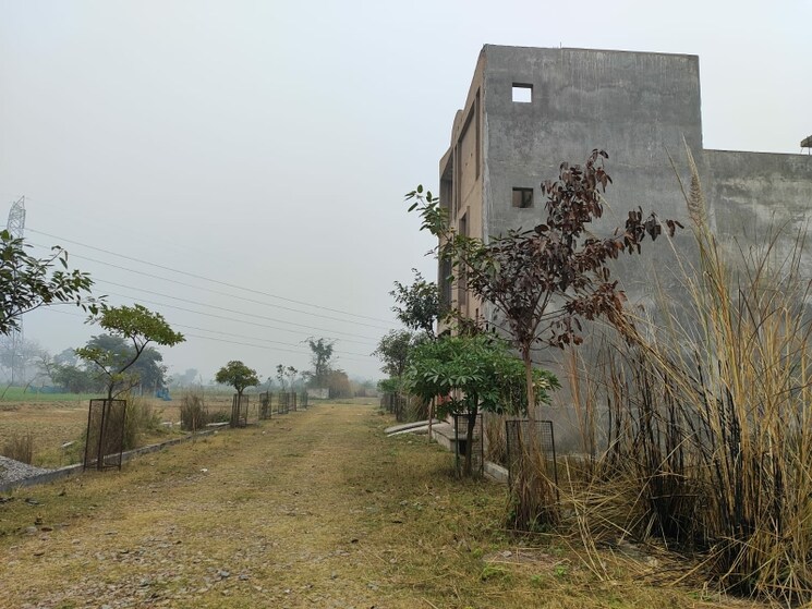 undefined, wing-lucknow-greens-plots  1750 Sq.Ft. Plot In Sultanpur Road Lucknow 8043472