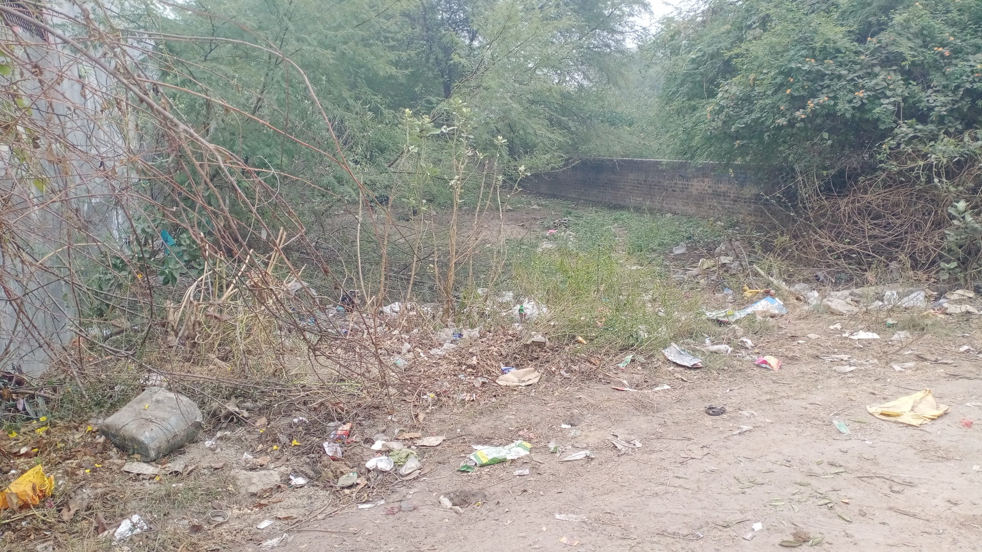 Plot For Sale in Mansarover 