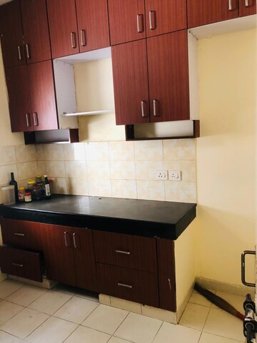 3 BHK Builder Floor For Rent in Unitech South City II, Sector 50