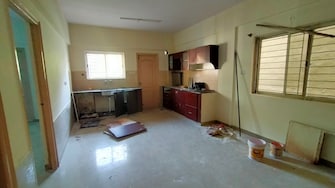 2 BHK Apartment For Rent in Rmv 2nd Stage Bangalore  8015183