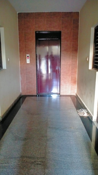 2 BHK Apartment For Rent in Rmv 2nd Stage Bangalore  8015183