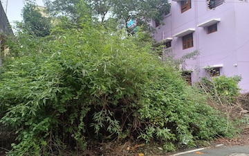 Plot For Sale in Egmore